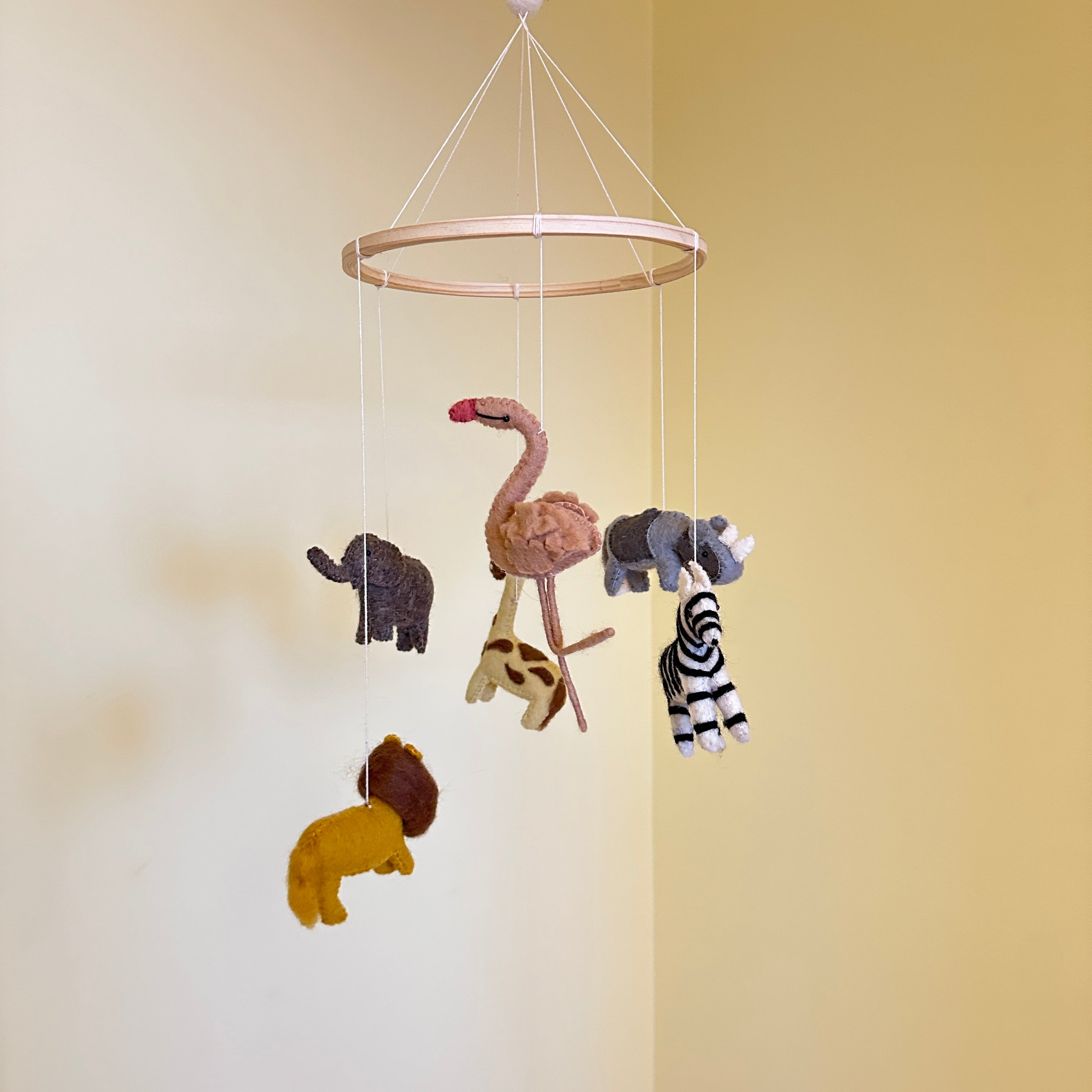 Gamcha Babymobil, Safari