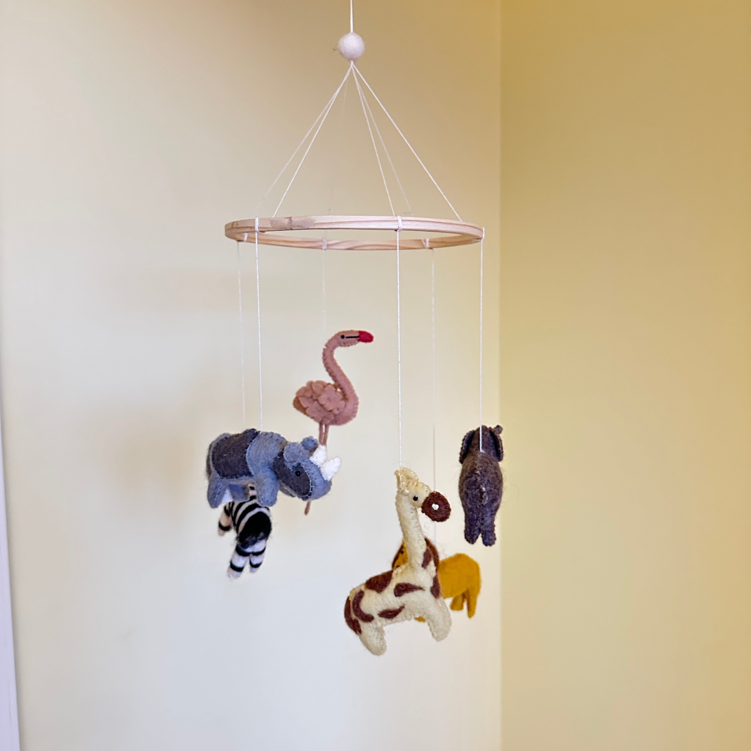 Gamcha Babymobil, Safari