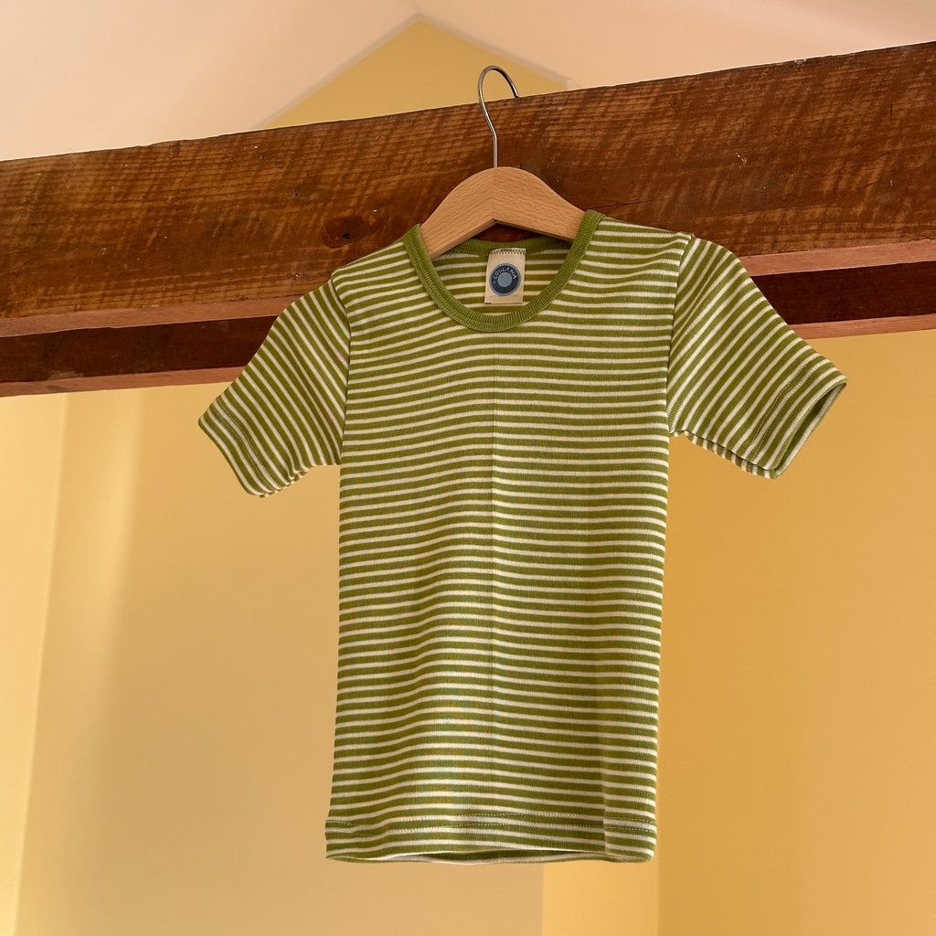 Cosilana T-shirt, Grön/Randig