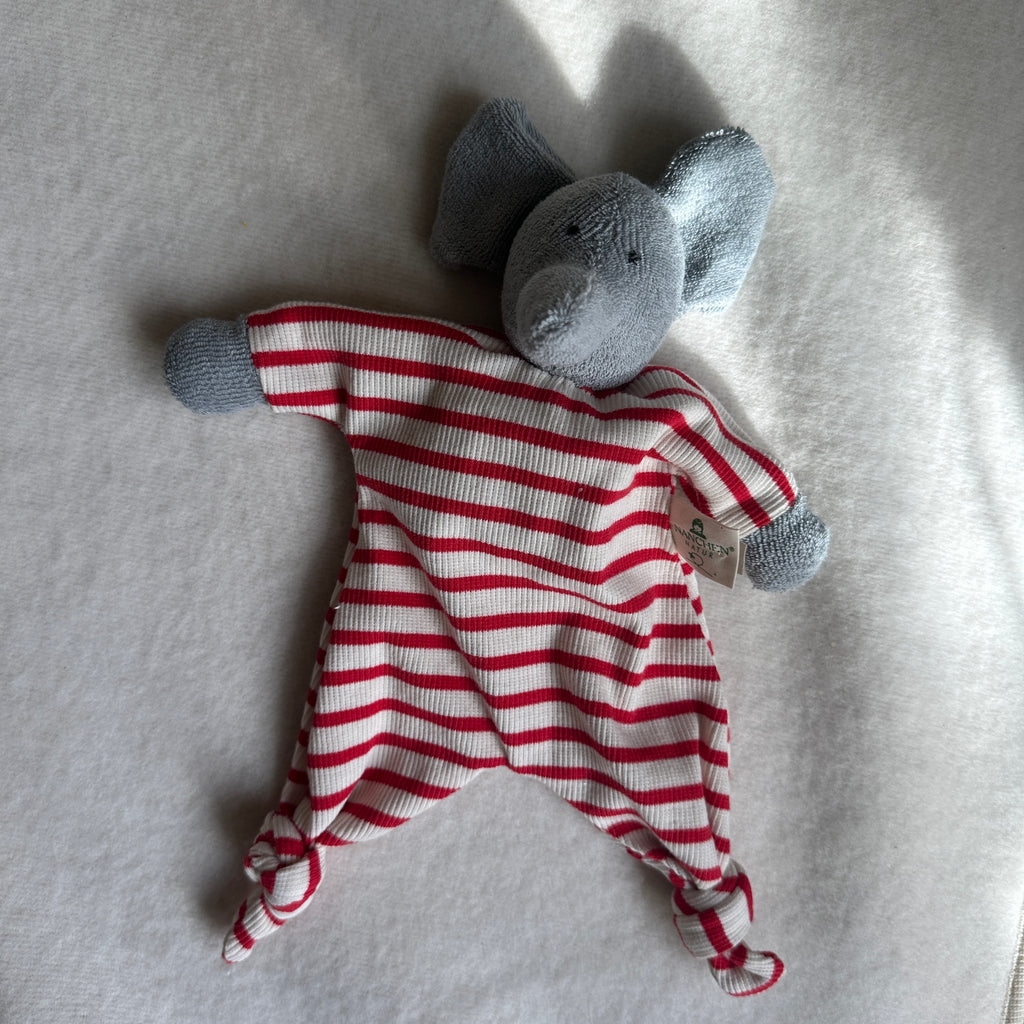 Nanchen Natur, Snutte Elefant